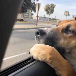 Meet your Posher, Vicky